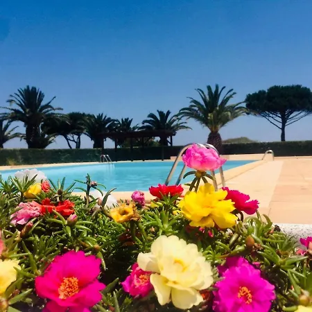 Apartment Joli Les Pieds Dans L'eau Avec Piscine